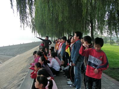 西工天氣預(yù)報30天查詢,西工區(qū)一個月天氣