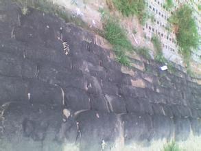衛(wèi)東天氣預(yù)報30天查詢,衛(wèi)東區(qū)一個月天氣
