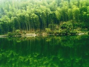 洪山天氣預(yù)報(bào)30天查詢,洪山區(qū)一個(gè)月天氣