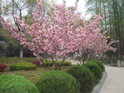 襄城天氣預報30天查詢,襄城區一個月天氣