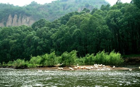 荊門天氣預(yù)報(bào)30天查詢,荊門市一個(gè)月天氣