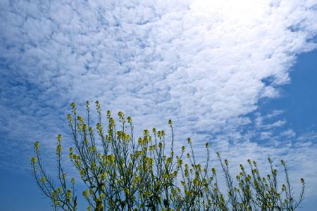 黃梅天氣預報30天查詢,黃梅縣一個月天氣