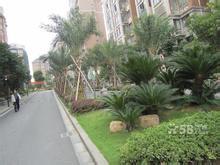 天元天氣預(yù)報30天查詢,天元區(qū)一個月天氣