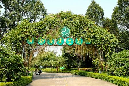 高要天氣預(yù)報(bào)30天查詢,高要市一個(gè)月天氣