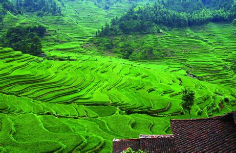 融水天氣預(yù)報(bào)30天查詢,融水縣一個(gè)月天氣