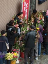萬秀天氣預報30天查詢,萬秀區一個月天氣
