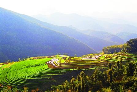 那坡天氣預(yù)報30天查詢,那坡縣一個月天氣