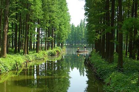 田林天氣預(yù)報30天查詢,田林縣一個月天氣