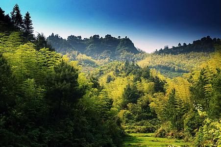 涪陵天氣預(yù)報30天查詢,涪陵區(qū)一個月天氣