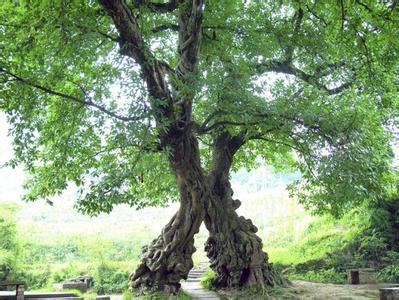 銅梁天氣預(yù)報(bào)30天查詢,銅梁縣一個(gè)月天氣