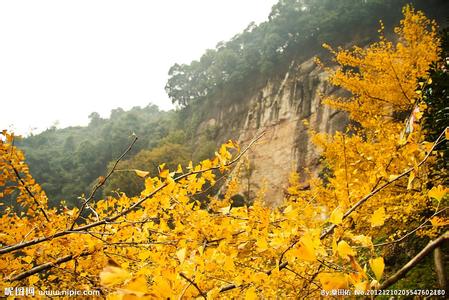 大邑天氣預報30天查詢,大邑縣一個月天氣