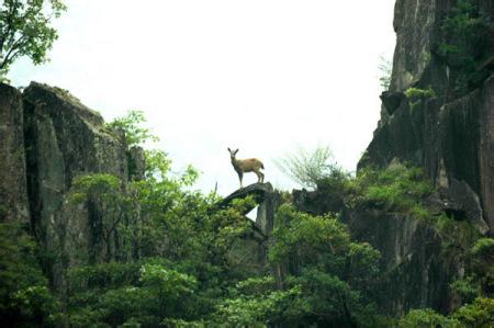 青川天氣預報30天查詢,青川縣一個月天氣
