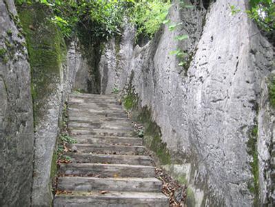 沙灣天氣預報30天查詢,沙灣區一個月天氣