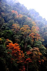 洪雅天氣預(yù)報(bào)30天查詢,洪雅縣一個(gè)月天氣