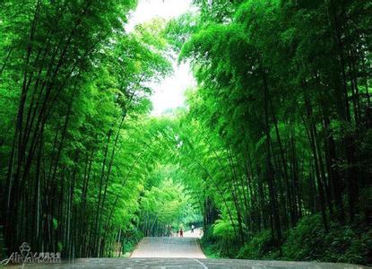 長寧天氣預報30天查詢,長寧縣一個月天氣