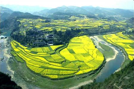 鳳岡天氣預(yù)報(bào)30天查詢(xún),鳳岡縣一個(gè)月天氣