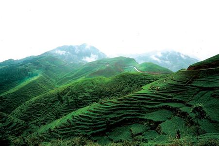 晴隆天氣預(yù)報(bào)30天查詢,晴隆縣一個月天氣