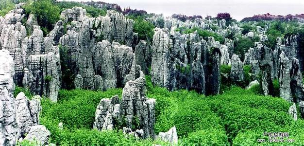 畢節(jié)天氣預(yù)報30天查詢,畢節(jié)地區(qū)一個月天氣
