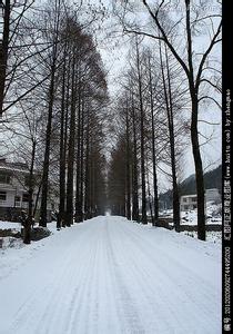 西山天氣預報30天查詢,西山區一個月天氣