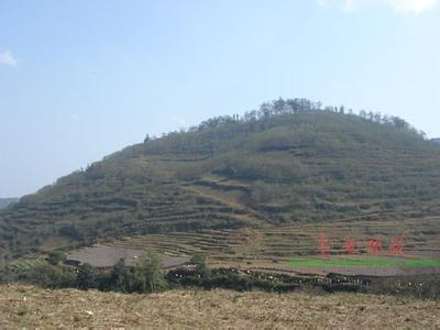 屏邊天氣預(yù)報(bào)30天查詢,屏邊縣一個(gè)月天氣
