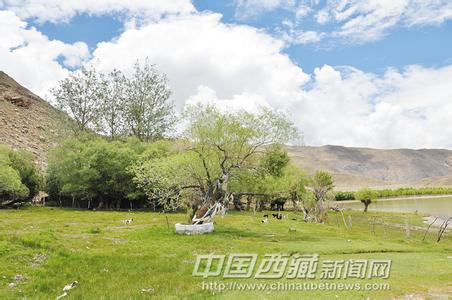 尼木天氣預(yù)報30天查詢,尼木縣一個月天氣