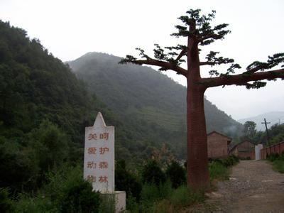 周至天氣預(yù)報30天查詢,周至縣一個月天氣