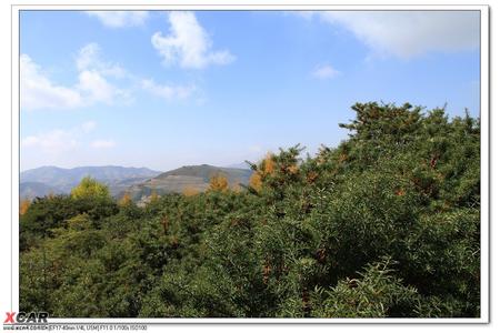 七里河天氣預報30天查詢,七里河區一個月天氣