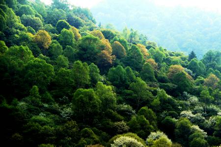 張家川天氣預報30天查詢,張家川縣一個月天氣