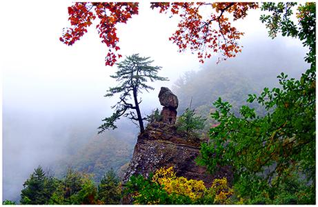 華亭天氣預(yù)報(bào)30天查詢,華亭縣一個(gè)月天氣