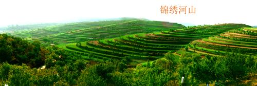 鎮(zhèn)原天氣預(yù)報(bào)30天查詢,鎮(zhèn)原縣一個(gè)月天氣