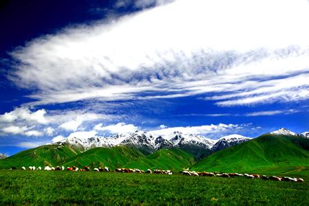 伊寧縣天氣預(yù)報(bào)30天查詢,伊寧縣一個(gè)月天氣