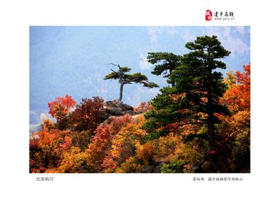 朝陽建平天氣預(yù)報(bào)_建平天氣預(yù)報(bào)一周7天10天15天朝陽建平天氣預(yù)報(bào),建平天氣預(yù)報(bào)一周7天10天15天