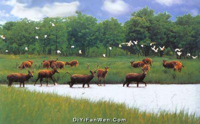 鹽城大豐天氣預(yù)報(bào)_大豐天氣預(yù)報(bào)一周7天10天15天鹽城大豐天氣預(yù)報(bào),大豐天氣預(yù)報(bào)一周7天10天15天
