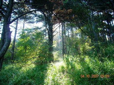 安徽黃山天氣預(yù)報(bào)_黃山天氣預(yù)報(bào)一周7天10天15天安徽黃山天氣預(yù)報(bào),黃山天氣預(yù)報(bào)一周7天10天15天