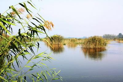 宿州泗縣天氣預(yù)報_泗縣天氣預(yù)報一周7天10天15天宿州泗縣天氣預(yù)報,泗縣天氣預(yù)報一周7天10天15天