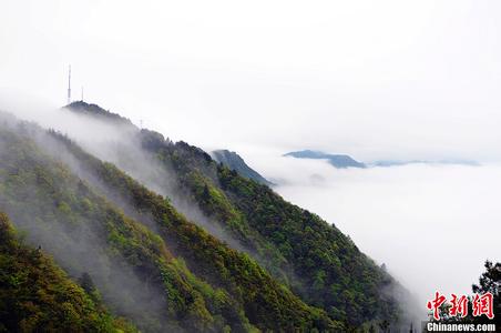 萍鄉(xiāng)湘東天氣預(yù)報_湘東天氣預(yù)報一周7天10天15天萍鄉(xiāng)湘東天氣預(yù)報,湘東天氣預(yù)報一周7天10天15天