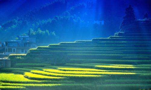 吉安遂川天氣預(yù)報(bào)_遂川天氣預(yù)報(bào)一周7天10天15天吉安遂川天氣預(yù)報(bào),遂川天氣預(yù)報(bào)一周7天10天15天