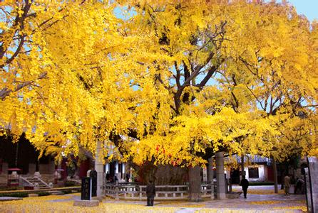 日照莒縣天氣預(yù)報(bào)_莒縣天氣預(yù)報(bào)一周7天10天15天日照莒縣天氣預(yù)報(bào),莒縣天氣預(yù)報(bào)一周7天10天15天