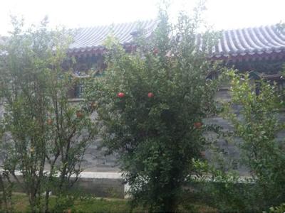 開封開封縣天氣預(yù)報(bào)_開封縣天氣預(yù)報(bào)一周7天10天15天開封開封縣天氣預(yù)報(bào),開封縣天氣預(yù)報(bào)一周7天10天15天