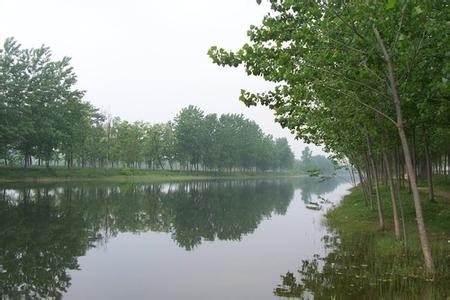 商丘寧陵天氣預(yù)報(bào)_寧陵天氣預(yù)報(bào)一周7天10天15天商丘寧陵天氣預(yù)報(bào),寧陵天氣預(yù)報(bào)一周7天10天15天