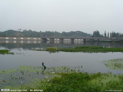 信陽平橋天氣預(yù)報(bào)_平橋天氣預(yù)報(bào)一周7天10天15天信陽平橋天氣預(yù)報(bào),平橋天氣預(yù)報(bào)一周7天10天15天
