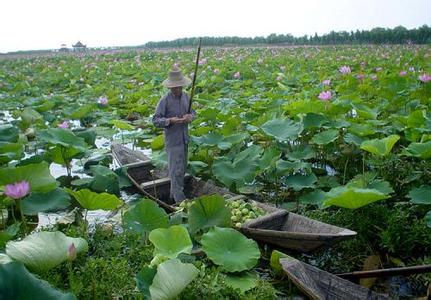 荊州洪湖天氣預(yù)報(bào)_洪湖天氣預(yù)報(bào)一周7天10天15天荊州洪湖天氣預(yù)報(bào),洪湖天氣預(yù)報(bào)一周7天10天15天