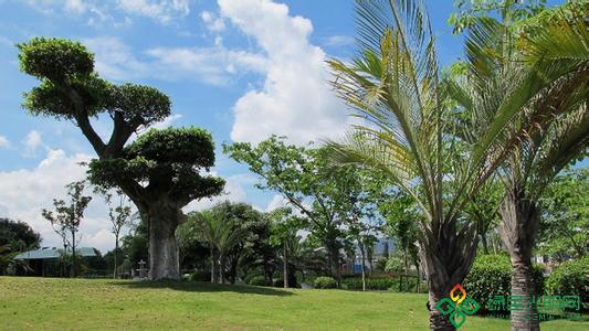 深圳光明天氣預(yù)報(bào)_光明天氣預(yù)報(bào)一周7天10天15天深圳光明天氣預(yù)報(bào),光明天氣預(yù)報(bào)一周7天10天15天