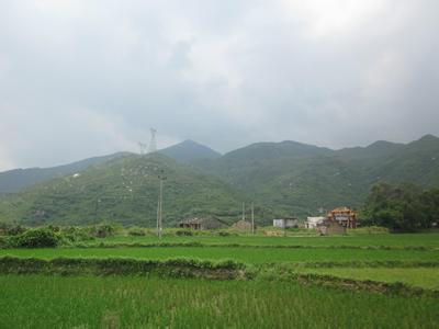 陽江陽西天氣預報_陽西天氣預報一周7天10天15天陽江陽西天氣預報,陽西天氣預報一周7天10天15天