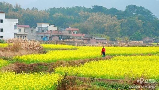清遠英德天氣預(yù)報_英德天氣預(yù)報一周7天10天15天清遠英德天氣預(yù)報,英德天氣預(yù)報一周7天10天15天
