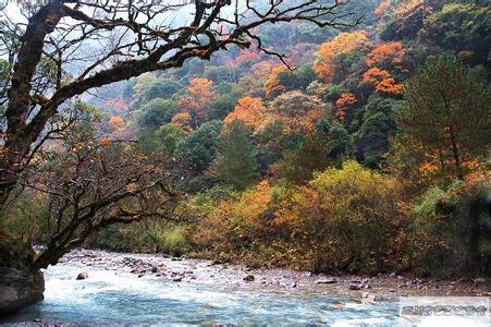 雅安寶興天氣預(yù)報(bào)_寶興天氣預(yù)報(bào)一周7天10天15天雅安寶興天氣預(yù)報(bào),寶興天氣預(yù)報(bào)一周7天10天15天