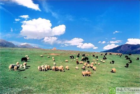 甘孜白玉天氣預(yù)報(bào)_白玉天氣預(yù)報(bào)一周7天10天15天甘孜白玉天氣預(yù)報(bào),白玉天氣預(yù)報(bào)一周7天10天15天