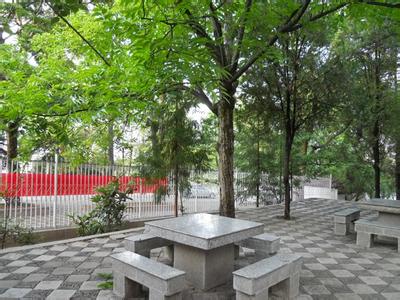 麗江古城天氣預報_古城天氣預報一周7天10天15天麗江古城天氣預報,古城天氣預報一周7天10天15天