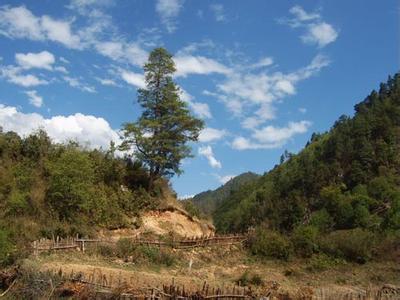 怒江蘭坪天氣預(yù)報(bào)_蘭坪天氣預(yù)報(bào)一周7天10天15天怒江蘭坪天氣預(yù)報(bào),蘭坪天氣預(yù)報(bào)一周7天10天15天