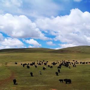 那曲比如天氣預報_比如天氣預報一周7天10天15天那曲比如天氣預報,比如天氣預報一周7天10天15天